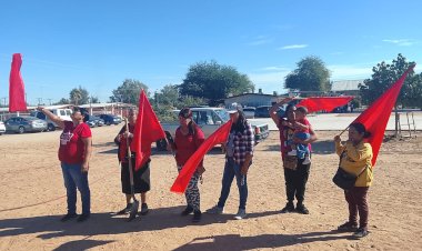 Promueven en Mexicali, plan de reforestación