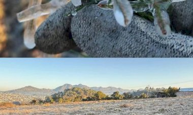 La helada que afectó los cultivos