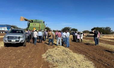 El campo duranguense no se sostiene con opacidad