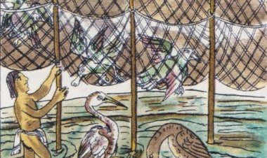 CRÓNICA | Chichicuilotes  II/II