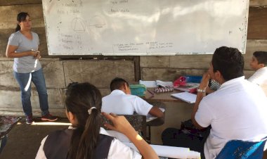Crisis en la enseñanza mexicana